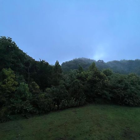 Southern Grace Sevierville Bagian luar foto